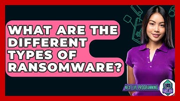What Are The Different Types Of Ransomware? - Next LVL Programming