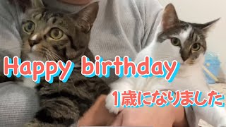 1歳の誕生日プレゼントより喜んだモノとは… by うみとそら 114 views 1 year ago 9 minutes, 23 seconds