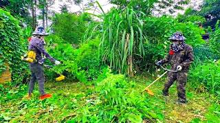 Nobody believed we could save this overgrown house — until our crew stepped in | Zen Clean Up screenshot 5