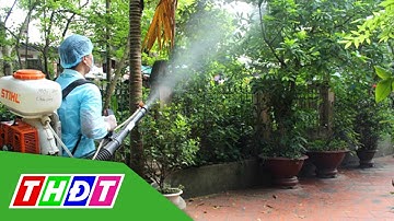 Tăng cường phòng, chống bệnh sốt xuất huyết | THDT