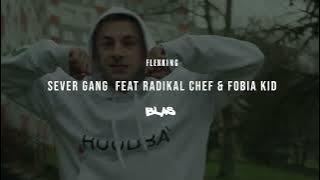 FLEXKING feat. RADIKAL CHEF & FOBIA KID - SEVER GANG | Audio|