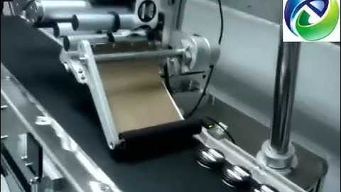 Box Labeler Card Labeling Carton Label Applicator Labeling Machinery