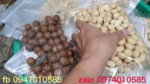 hạt mắc ca giá bao nhiêu và có tác dụng gì