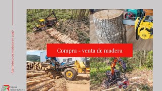 Compra - Venta de Madera en Galicia | Hijos de Ramón Rubal, S.L, Tu Aserradero de Madera