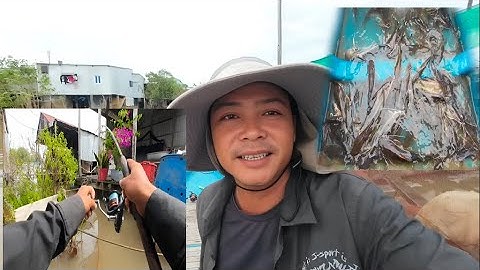 Câu ngay bầy cá Lăng cầm cây cần thả vừa chạm đất là đớp liền @MinhTâm67vlocg