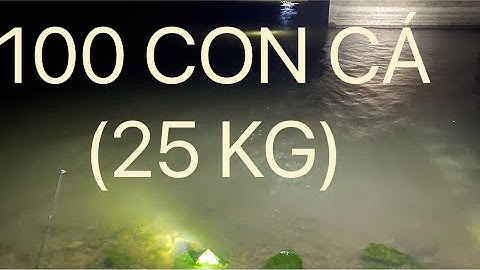 TRÚNG BẦY CÁ KHỦNG | CÂU CÁ TRÊN SÔNG MÙA NƯỚC LŨ |@Chung Huynh Fishing Tv