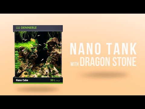 Видео: Как да се създаде нано-риф резервоар
