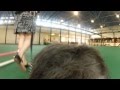 Travels with Lottie! Part 4 Travels with Lottie! Part 4