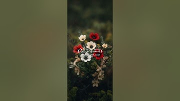تلاوه خاشعه للقارئ عثمان الحداد من سورة الأنبياء ♥️🎧