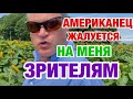 МУЖ АМЕРИКАНЕЦ ПОЁТ НА РУССКОМ | ЛАБИРИНТ ИЗ ПОДСОЛНУХОВ | ЖИЗНЬ В НЬЮ-ЙОРКЕ