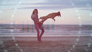 Never Let You Go [Malinois Tricks] by Juliette Roux-Merveille 48,358 views 7 years ago 1 minute, 29 seconds