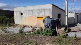 POVOADO RIACHO SANTATOI MUNICIPIO DE SENTO SE BAHIA PARTE 1