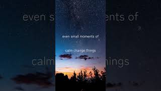 Even Small  Moments of Calm Change Things