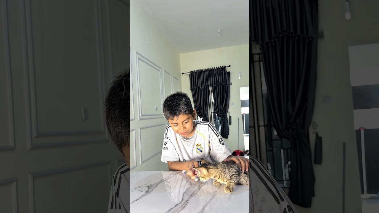 Kasih makan kucing pake permen
