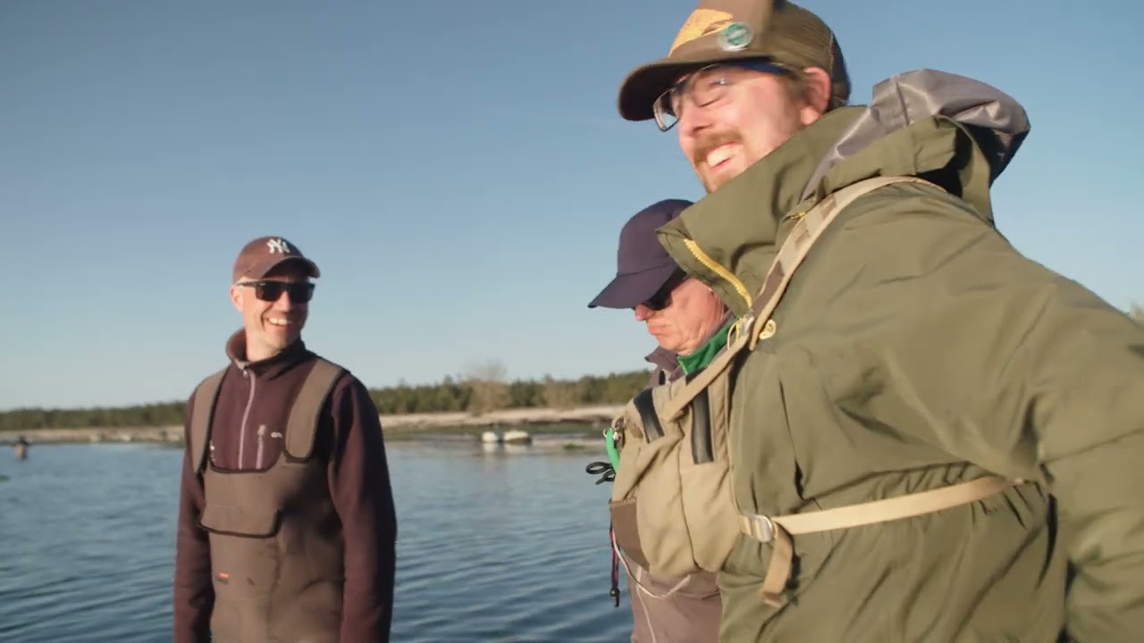 Havsöring - sportfiske och återutsättning
