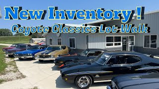 Coyote Classics Lot Walk Around!  50+ Classic Cars for Sale