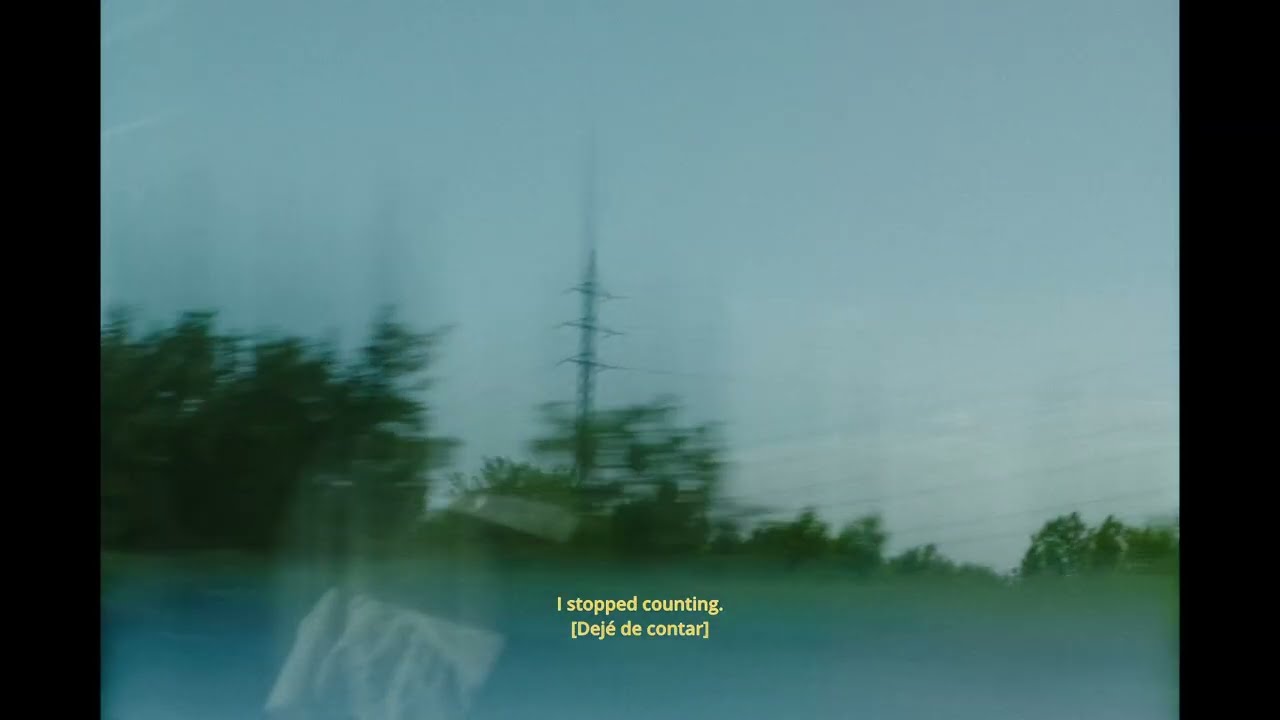 No Contact - by Sophia Bray