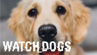 WATCH DOGS
Hello Everyone!!
Welcome to a cool game called watch dogs! Its obvious what the game is about, so I dont really need to say.
Game Link: http://gamejolt.com/games/w-tch-dogs/17283
Please consider rating, commenting on, and subscribing for more awesome content!!
Thanks! WATCH DOGS