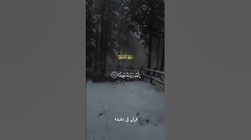 قران كريم ارح قلبك وسمعك #قران #المصحف #quran #الرحمن #راحة_نفسية @قران_في_دقيقة