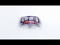 Clean Logo Reveal Intro Template for After Effects || Free Download