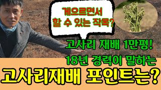 [고사리_한잎새 3-1]이것만 잘하면 고사리 잘 키울 수 있다. 고사리재배 중요 포인트는? 고사리 평당수익은 얼마나 될까? 좋은 고사리종근구입처는?  일하기 쉽다는 귀농소득작목은?
