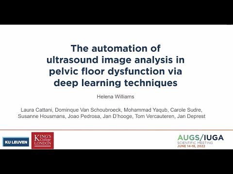 Mini lecture: Artificial Intelligence in the assessment of ultrasound images. IUGA 2022