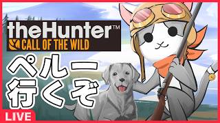 【thehunter:COTW】#116 ペルー南西へ('ω')【Vtuber】