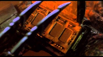 Predator Countdown Timer