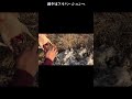 狩猟の死生観 鴨の解体 狩猟文化とは #狩猟 #スナイパー #狙撃