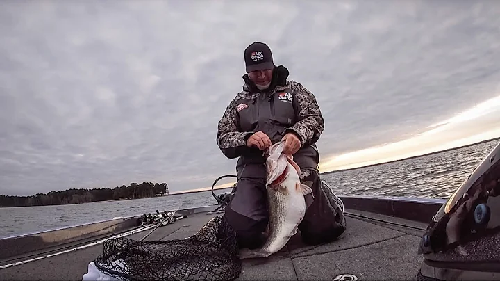 Wicker's Sam Rayburn 11-Pounder