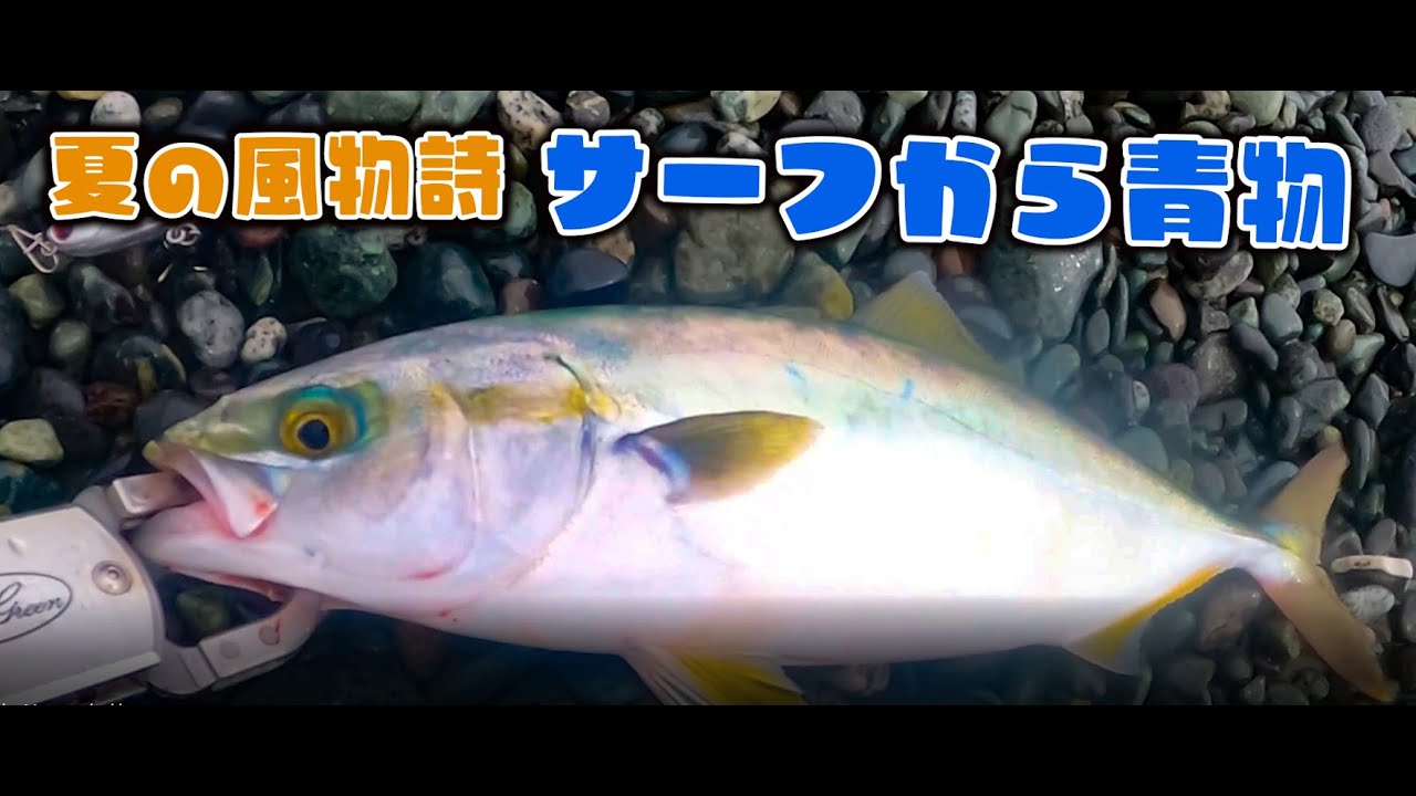 サーフから青物！！まさかのルアーが大活躍！！ - YouTube