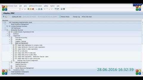 Assign sales organization   distribution channel   plant