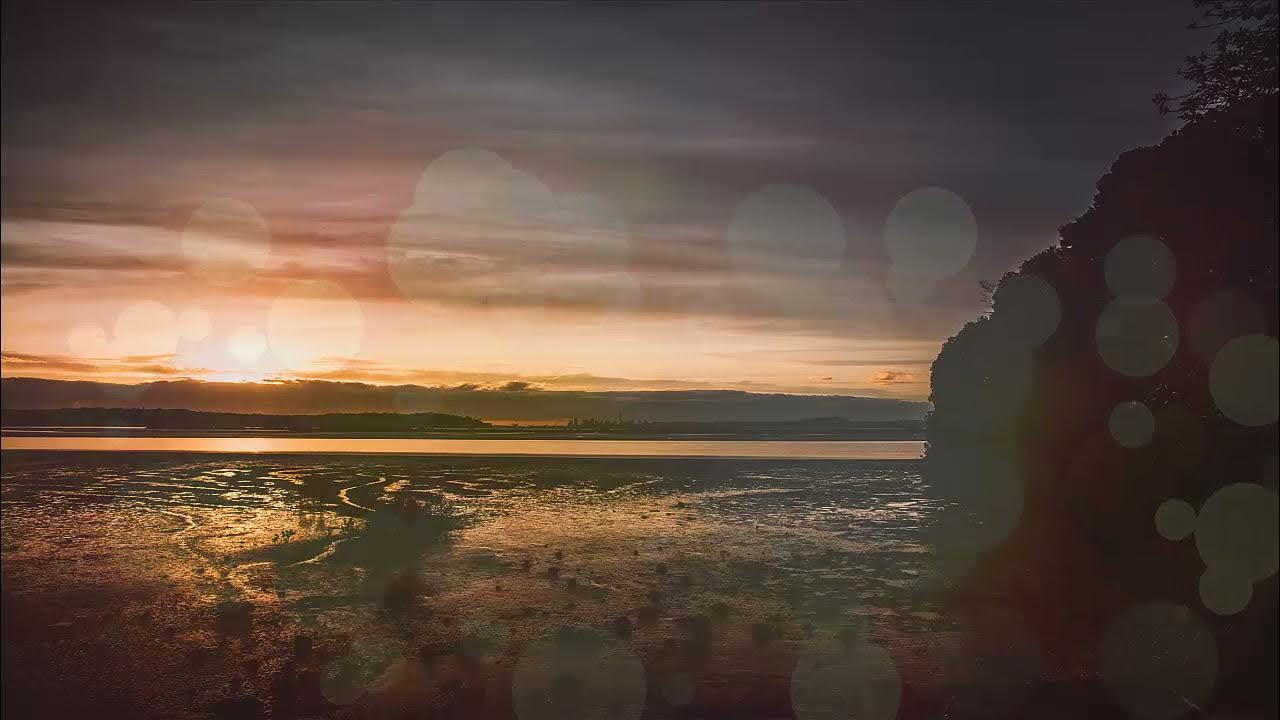 Sebastian Kamae x Aylior – Outlet- Hip Hop Relax Chill - Beats to relax - Live Music. Sebastian Kamae x Aylior – Outlet- Hip Hop Relax Chill - Beats to relax - Live Music.