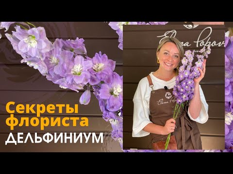 Video: Delphinium Chiroyli