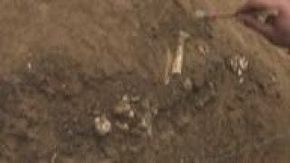 Download Lagu Ancient human remains unearthed in Georgia MP3 Download Lagu Ancient human remains unearthed in Georgia MP3