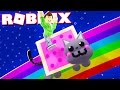 RIDE A NYAN CAT Down a RAINBOW in Roblox!