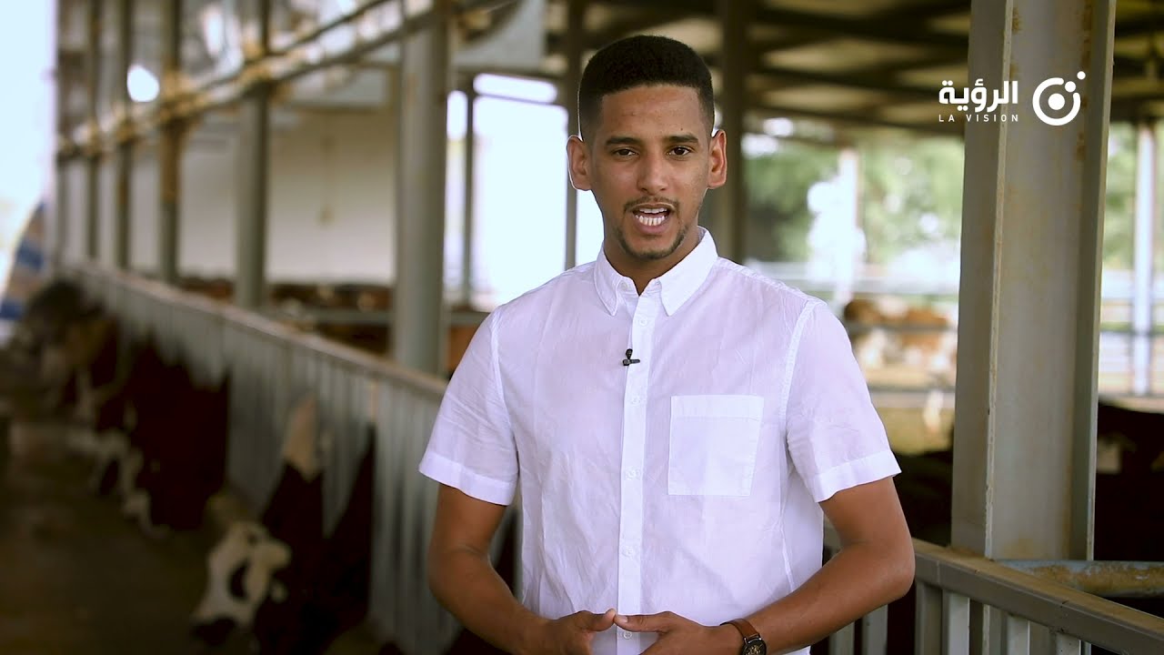 الصين تخلق المفارقة في تربية المواشي وزراعة الأعلاف بموريتانيا