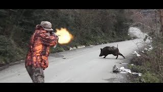 THE BEST WILD BOAR HUNTS OF 2023