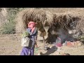 Traditional village life || Primitive technology || Nepali Village life