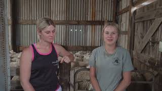 See Where The Wool Industry Can Take You