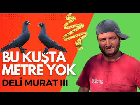 11 Saat Uçan Kuşlar Murat Atasoy III (Uçum Videosu)