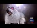 Mountain monsters season 1 episode 3 devil dog