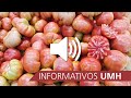 29.07.2021 Informativo Radio UMH