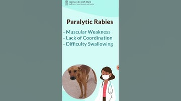FACTS ON RABIES | #trending #trendingshorts #trend #trendingvideo #viral #viralvideo #shortsfeed