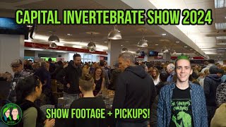 Capital Invertebrate Show 2024! + PICKUPS!