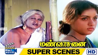 தப்பு பண்ணவன் நான்தான் எரியிற குச்சியை என்மேல போடு | ManVasanai | Pandiyan | Revathi | Raj Movies