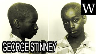 GEORGE STINNEY - WikiVidi Documentary