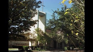 6 women sue priest, Austin diocese amid sexual misconduct allegations