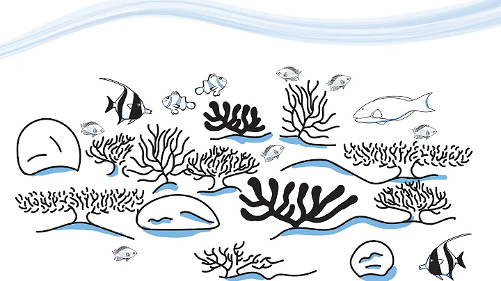 Coral Bleaching Explained: The Story of Frank the ...