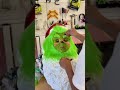 Turning my Giant Santa into the Grinch! Pt. 2